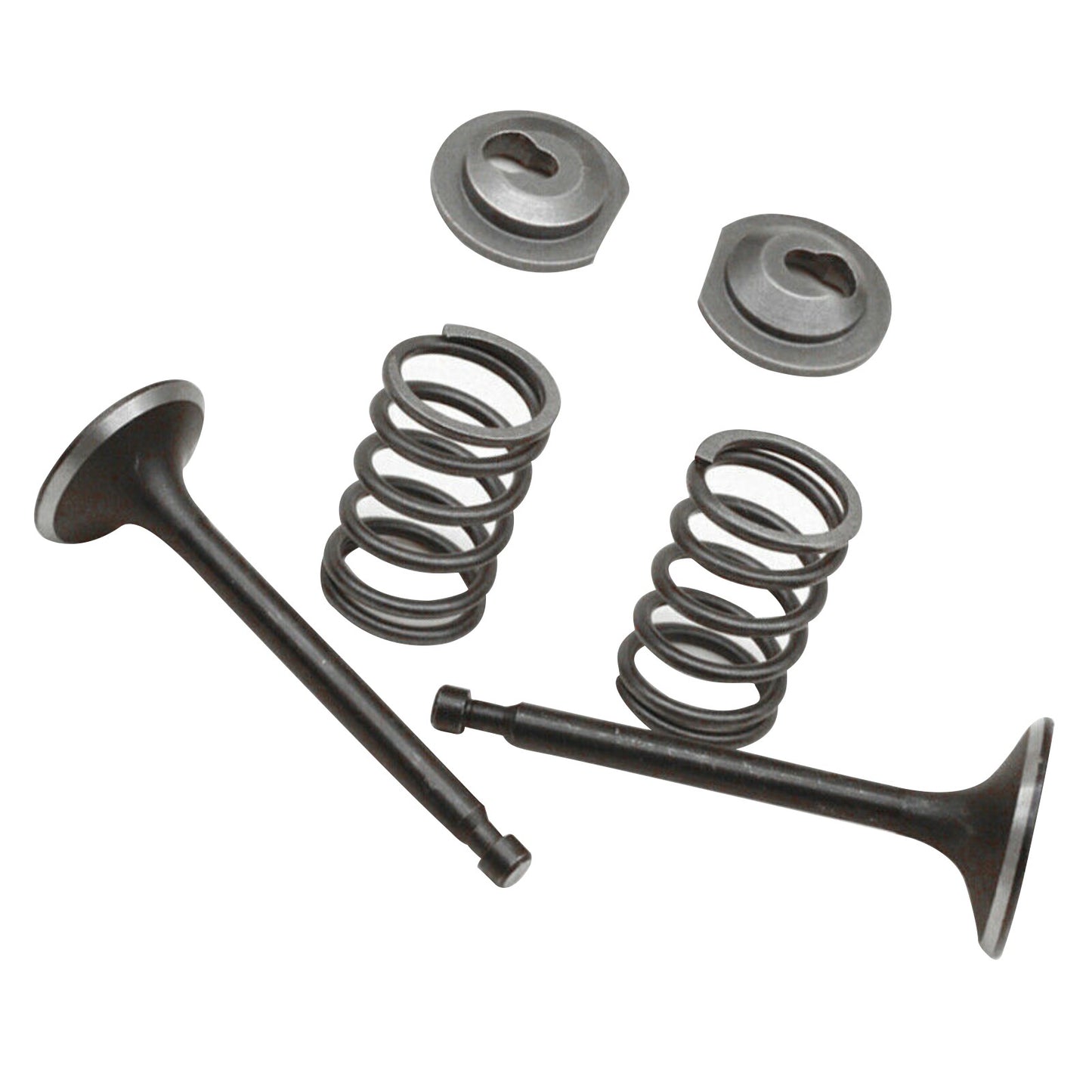 Valve Springs Kit For Honda GX160 GX200 168F 170F 5.5-6.5HP Gasoline Engine