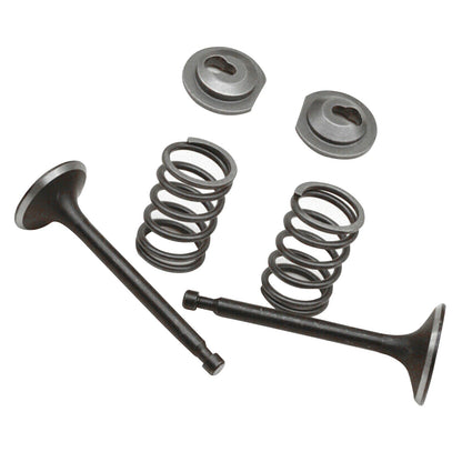 Valve Springs Kit For Honda GX160 GX200 168F 170F 5.5-6.5HP Gasoline Engine
