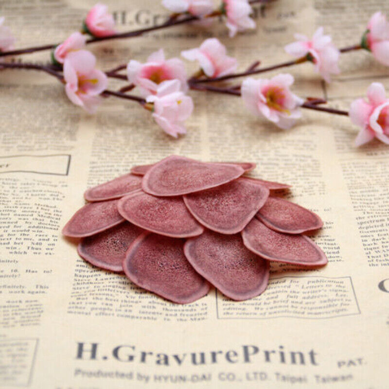 Slices Lu Rong Herb for Men Chinese Herbal Medicine100% Ecology Cartialgenous