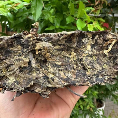 440g Authentic Yunnan Fuding Jinhua Old White Tea Chen Nian White Tea Brick