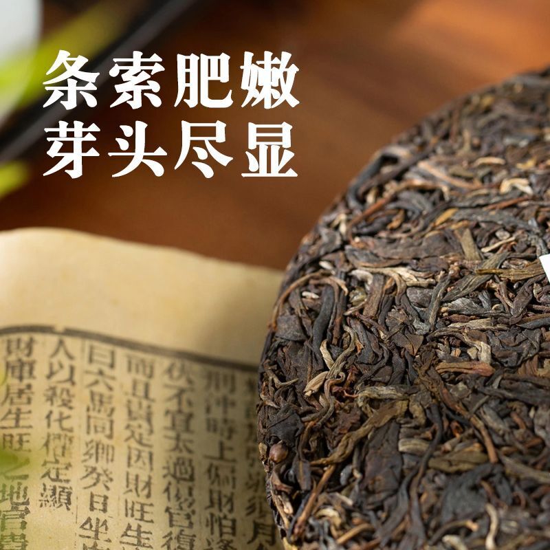 Yunnan Xigui Ancient Tree Puerh Tea Spring Tea 357g