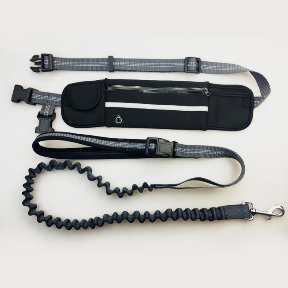 Shock Absorbing Bungee Dog Leash with Waist Bag - Hands-Free