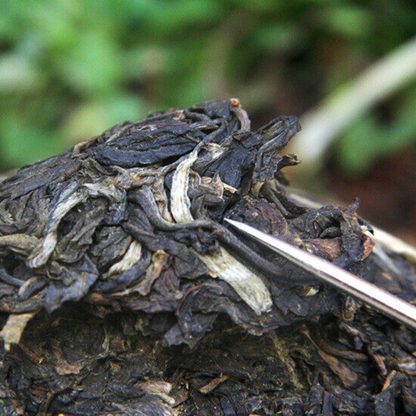 Aged Puerh Tea200g Premium Puerh Cha Tea Golden Bud Tuocha Healthy Drinks