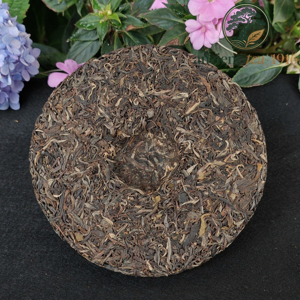 357g 2021 Ancient Tree Yi Wu Pu'er Raw Tea Yunnan Pu Erh Tea Cake