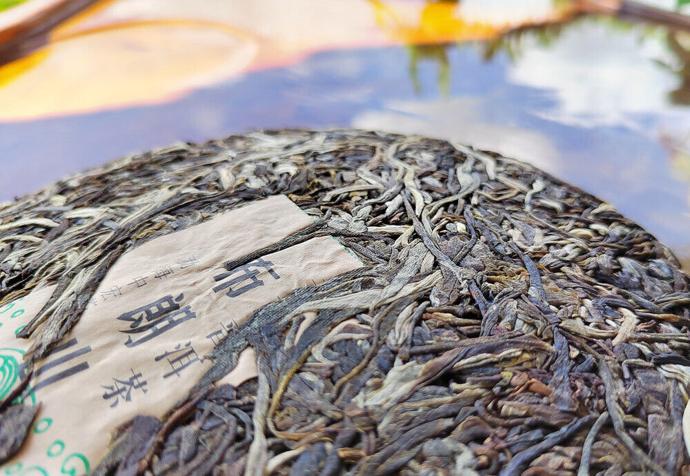 Menghai Pu'er Tea Brangshan Early Spring Arbor Pu'er Raw Tea 357g