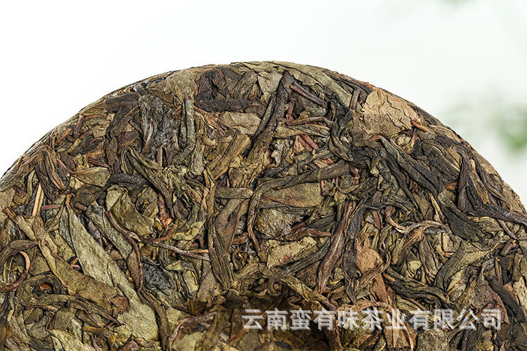 357g Yunnan Pu'er Tea Seven Seed Cake Bangdong Ancient Tree Golden Leaf Raw Tea