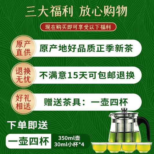 2023 New Tea Biluochun Authentic Strong Aroma High end Gift Box Green Tea 250g
