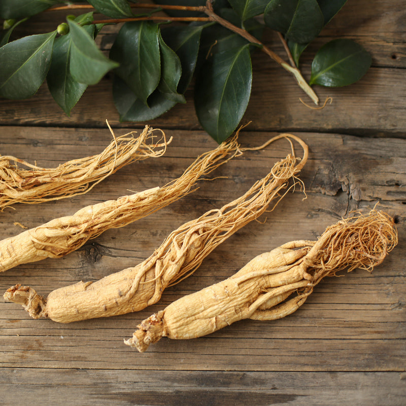 9OZ 8 years White Ginseng Changbai Mountain Dried Ginseng Root Ginseng 250grams