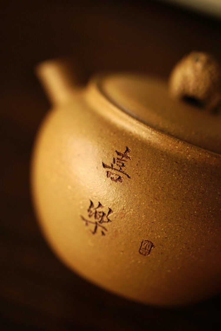 170cc chinese Yixing Handmade Zisha teapot Duan Clay XiLe Gongfu Hu Tea Pot
