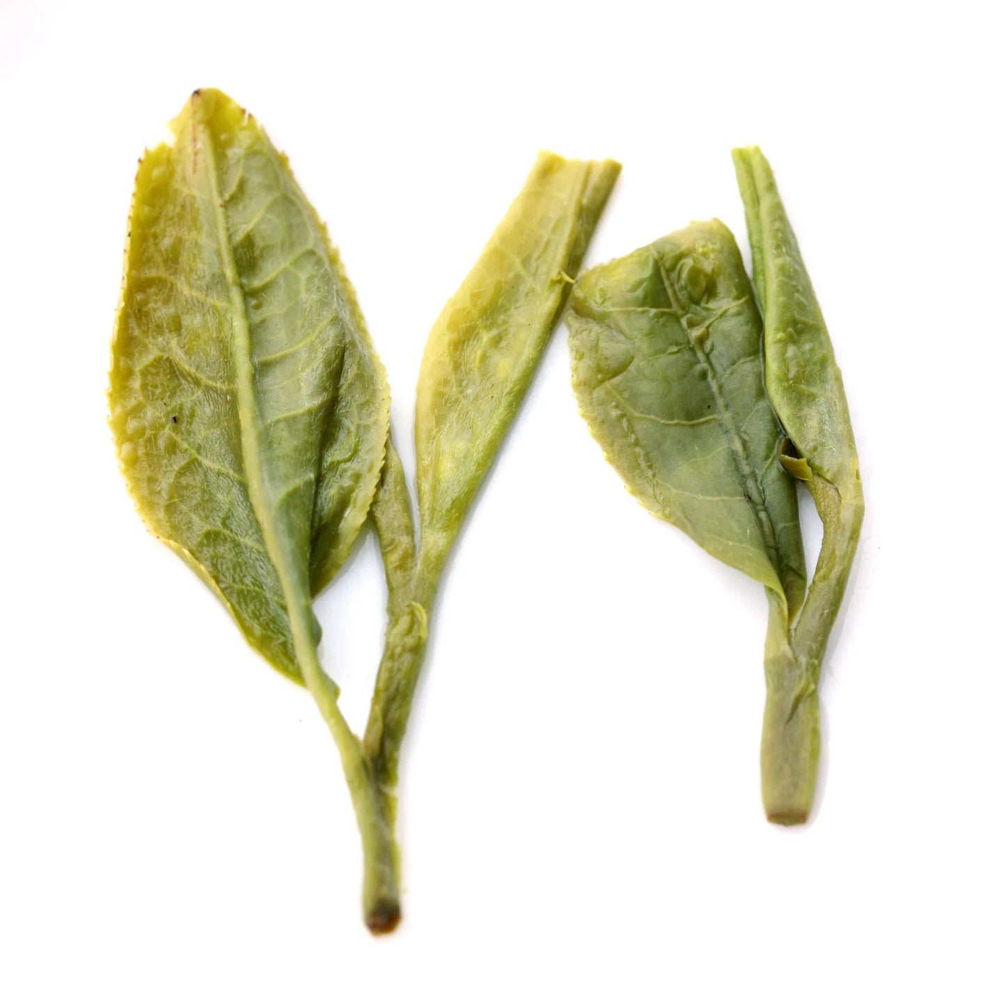 500g Supreme Xihu Longjing Dragon Well Chinese Green Tea Spring Loose Leaf