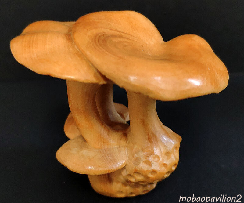 Chinese wood Hand Carved Boxwood Netsuke - Beautiful Mushroom hand piece gift