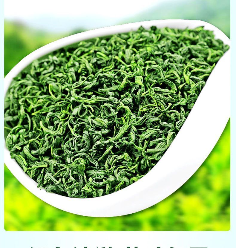 Rolls Church Green Tea New Tea Bright Front Strong Aroma Steeping Loose