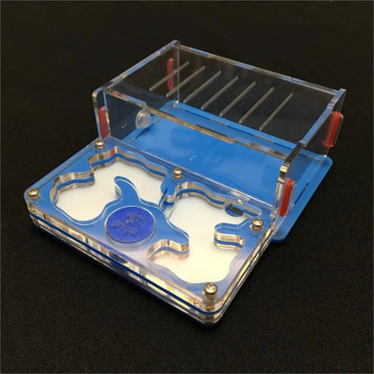 Ant-Grape Series Acrylic Plane Design Feeding Area Insect Antvilla 10.6x12.6x5cm