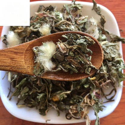 PuGongYing/蒲公英/Dried Loose LeavesMongolianDandelion / Herba Taraxaci