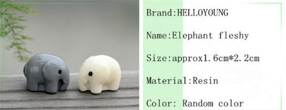 Mini 5pcs Elephant Fleshy Decoration Supplies Moss Micro Landscape Deco Creative