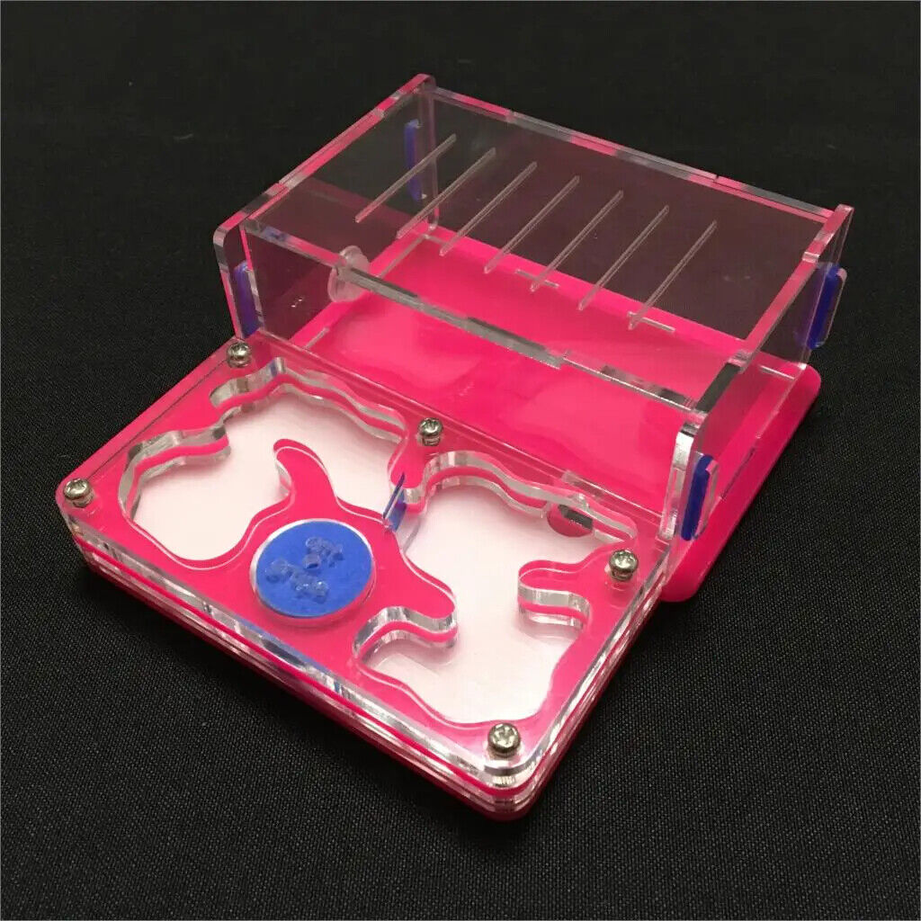 Ant-Grape Series Acrylic Plane Design Feeding Area Insect Antvilla 10.6x12.6x5cm