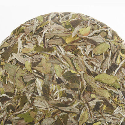 300g Top-Grade Fuding White Tea Qingming Peony White Tea Cake Premium Collection