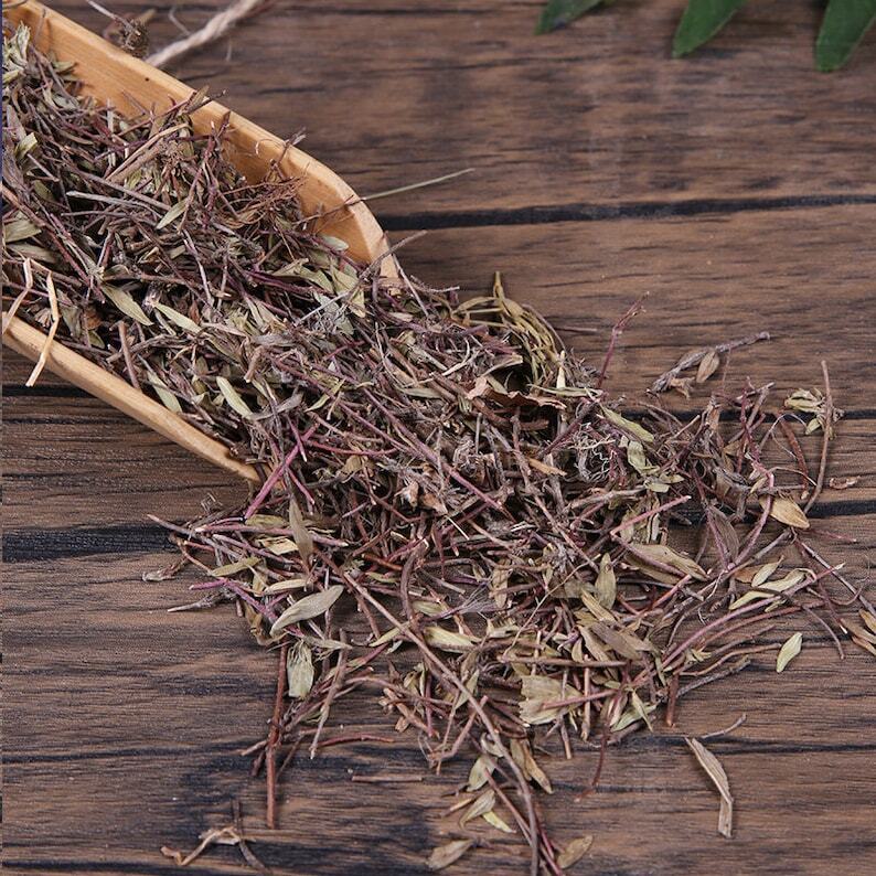 Organic Herbal Thymus Mongolicus Bailixiang Whole Herbs Great Quality