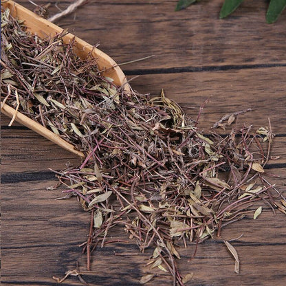 Organic Herbal Thymus Mongolicus Bailixiang Whole Herbs Great Quality