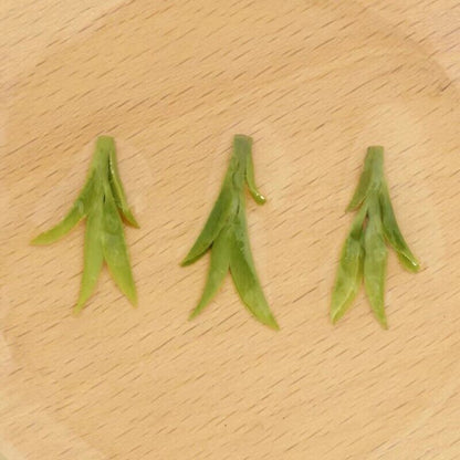 Organic 2023 West Lake Dragon Well Green Tea Before QingMing LongJing Cha 250g