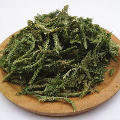 250 GR Shen Jin Cao Common Clubmoss Herb 伸筋草