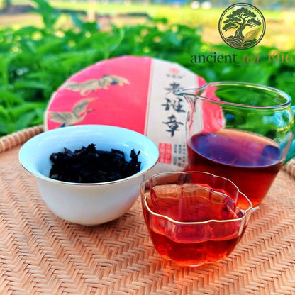 Pu-erh Puer Puerh Tea 357g 2003 Yunnan Menghai Banzhang Ancient Tree Ripe Cake