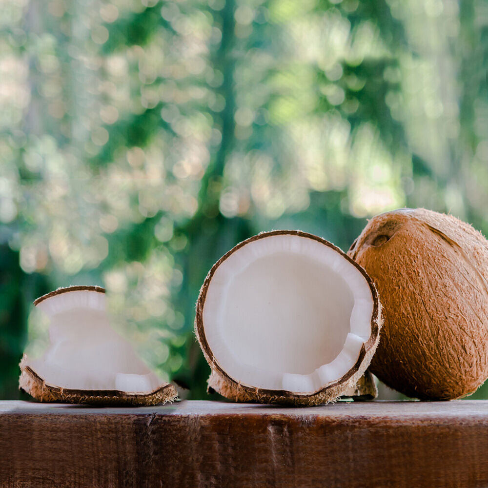 Coconut Water Powder 1.1 lb Non-Gmo Electroytes
