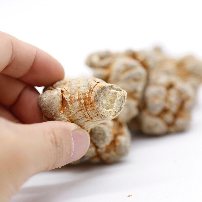 Yunnan Wenshan Natural San Qi Tea Panax Notoginseng Root Sanqi Radix Tian Qi