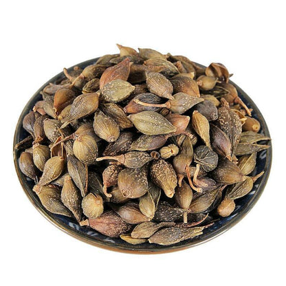 Organic Dried Weeping Forsythiae | Fructus Forsythiae | Lian Qiao