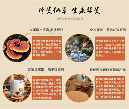 500g Chinese Wild Ganoderma Lucidum Tea Powder Reishi Spore Powder Herbal Tea