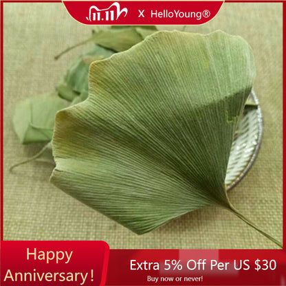 Plant Leaves Ginkgo Biloba Leaves Chinese Wild Ginkgo Tea Herbal Tea-