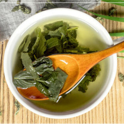 Mentafollia Ecology Dried Mint Tea Peppermint Leaf Herbal Tea Top Pennyroyal Tea