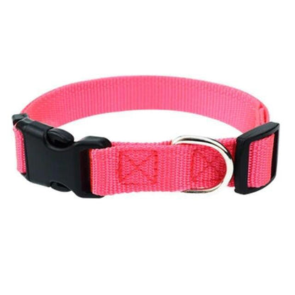 Nylon Pet Dog Collar Custom Embroidery Adjustable Quick Release Durable