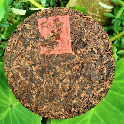 357g Organic Pu'er Ripe Tea Cake Icelandic Golden Sprout Pancakes Health Care
