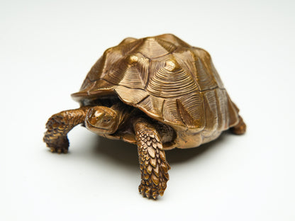 Chinese Brass Hand Casting Turtle Statue Figure Collectable Home Decoration 400g