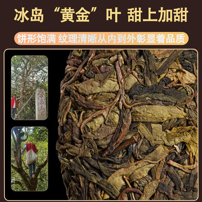 357g 2018 Iceland Huangjinye Yunnan Pu Erh Tea Cake Raw Tea
