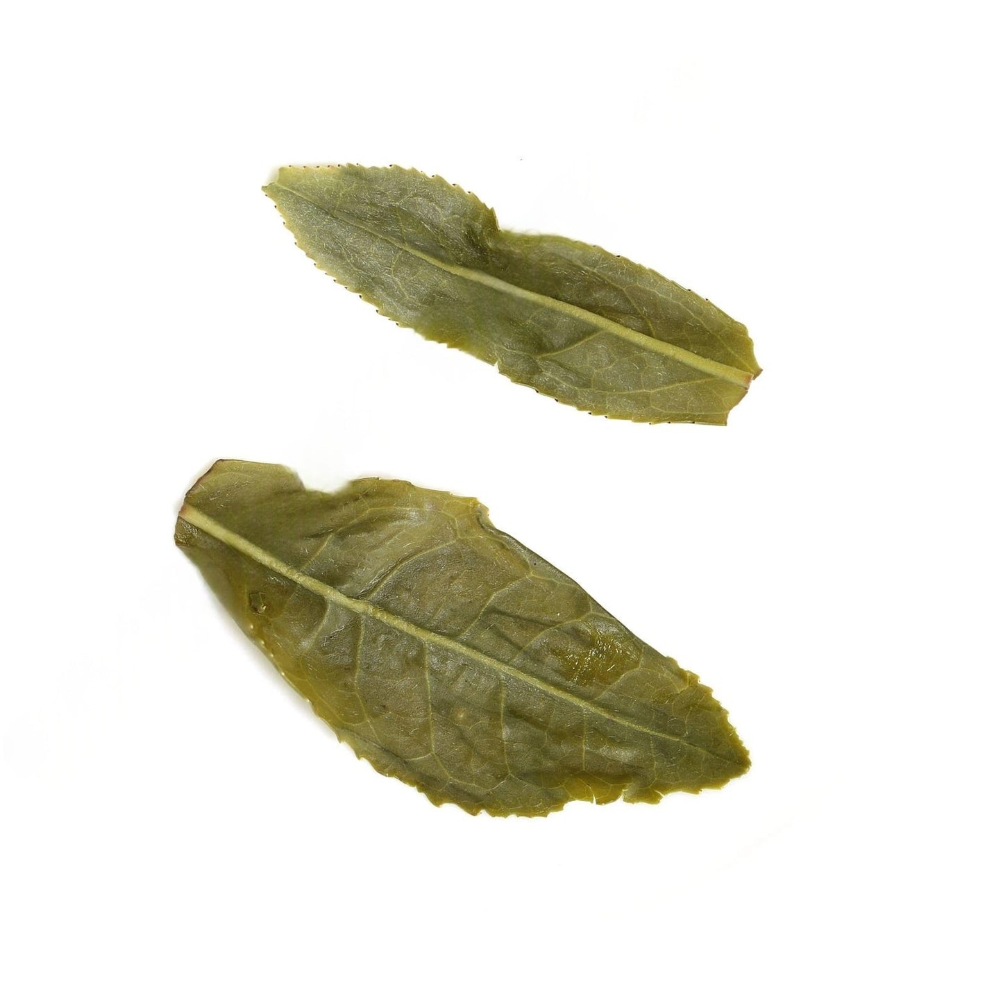 100g Supreme Melon Slice Liuan Guapian Spring Green Tea Chinese Loose Leaf