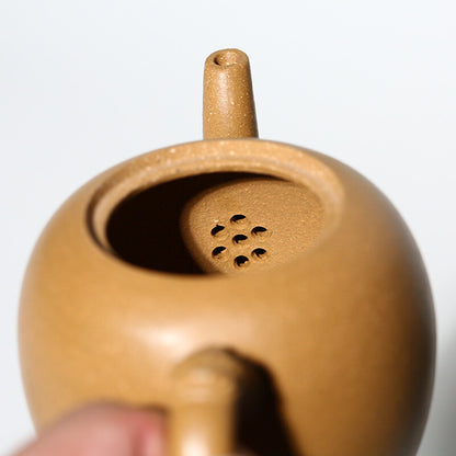 Chinese Tea Pot Real Yixing Zisha Duan Clay Marked Pot 240ml 7 Infuser Holes New