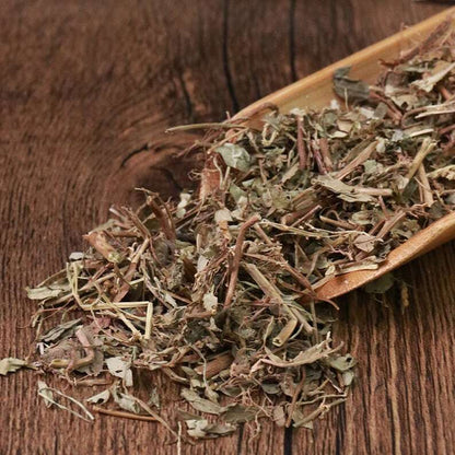 Organic Herbal Phyllanthi Urinariae Common Leafflower Herb Great Quality