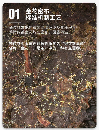 COFCO Jin Hua Chun Ye * Hunan Anhua Dark Tea Golden Flower Fu Brick Tea 760g