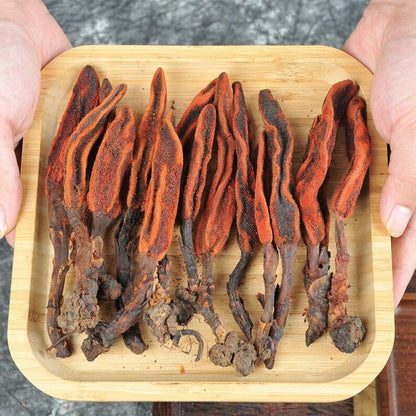 250g Boschniakia Rossica, Huichun Grass, Rejuvenation Grass, Cao Cong Rong