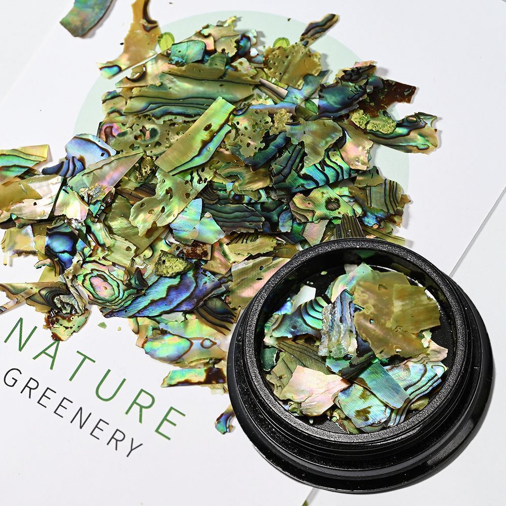 Nail Art Decor 3D Irregular Abalone Natural Sea Shell Stones DIY Accessory 1 Box