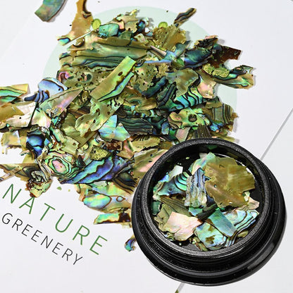 Nail Art Decor 3D Irregular Abalone Natural Sea Shell Stones DIY Accessory 1 Box