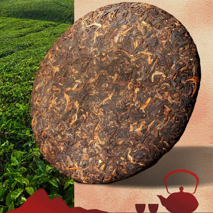 357g Yunnan Menghai Ancient Tree 2010 Old Ban Zhang Jinya Ripe Pu'er Tea Cake