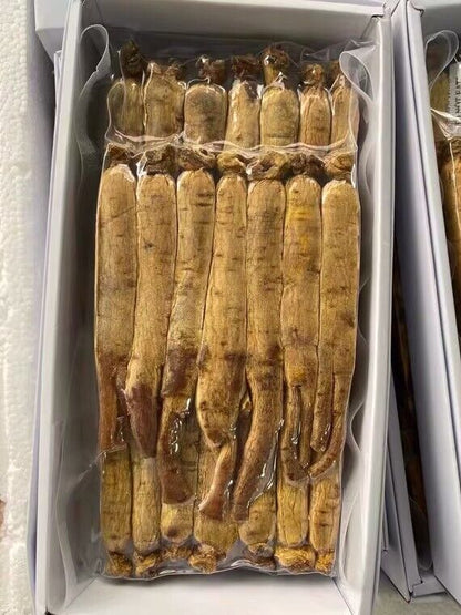 Korean Ginseng Root Offer 6Years Changbai shan Dry Ginseng Root 黄皮高丽参 600g/20pcs