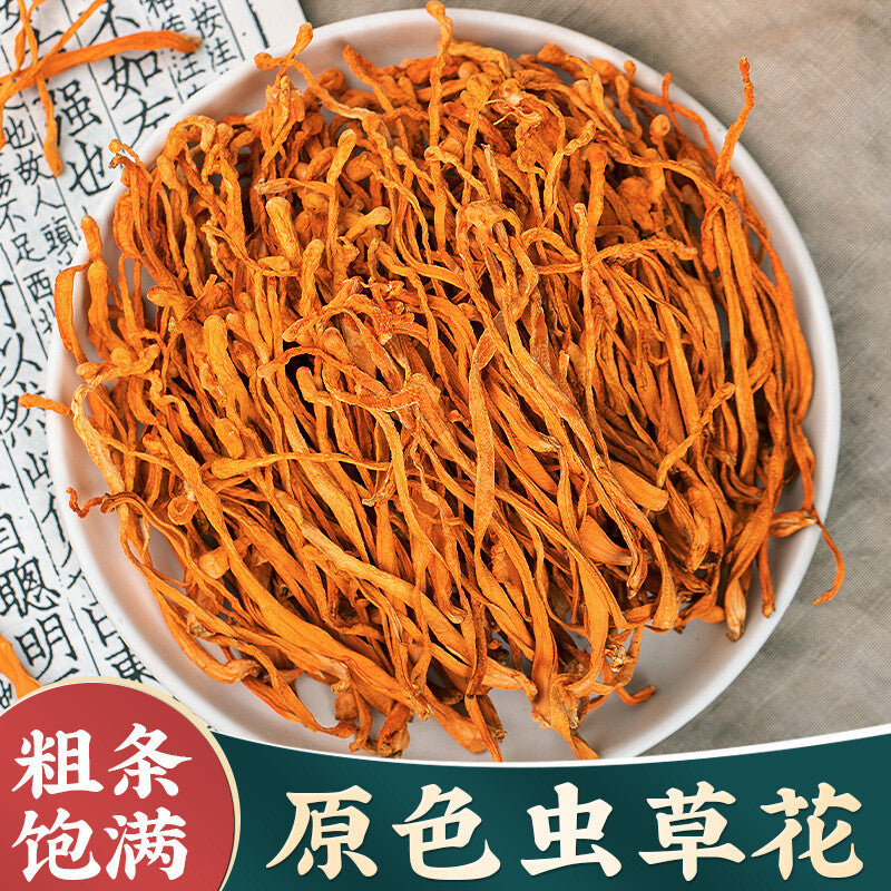Cordyceps Militaris Dried Herb Premium Herbal Ingredient Soup Material