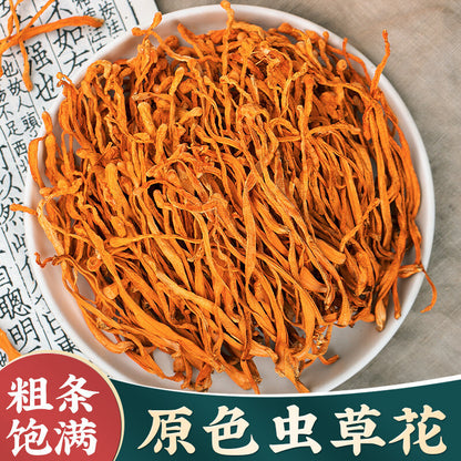 Cordyceps Militaris Dried Herb Premium Herbal Ingredient Soup Material