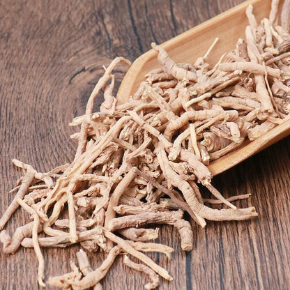 Natural herbal Polygala Root Radix Polygalae Polygala Tenuifolia Great Quality