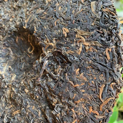 CHUN JIAN Spring Tip * 2006 Puwen Puer Tea Sheng YUNYA Pu Er Aged Puer Raw 400g