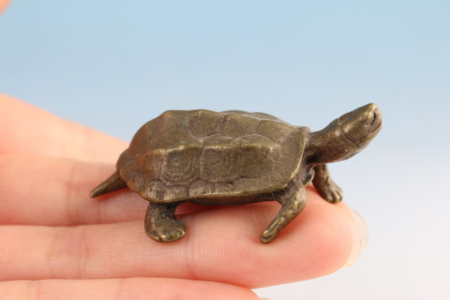 Chinese bronze hand casting turtle tortoise statue collectable figure tea pet